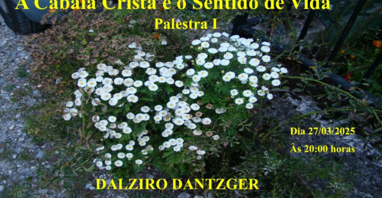 capa1